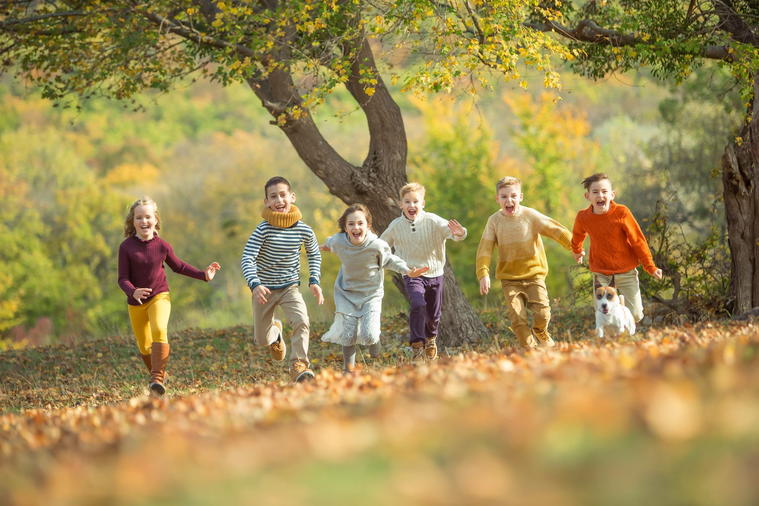 Seks barn i fargerike klær og en liten hund løper mot kamera på en eng med høstblader